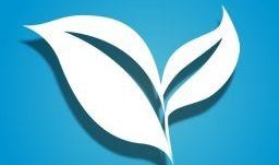 树叶最新爆料视频下载,幕后真相大起底